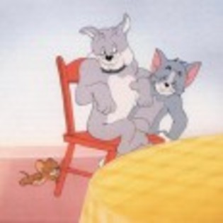 Tom_and_Jerry_1284739698_1_1965