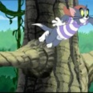 Tom_and_Jerry_in_Shiver_Me_Whiskers_1237300558_2_2006