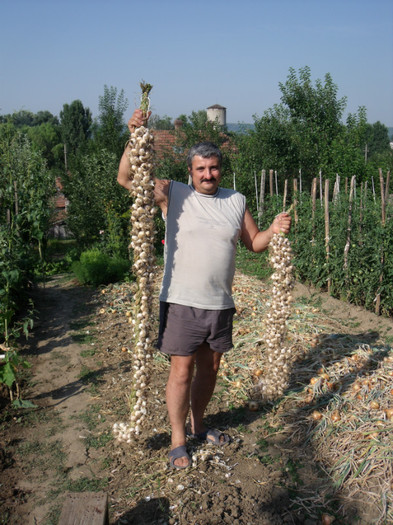 Picture 276 - gradina 2012