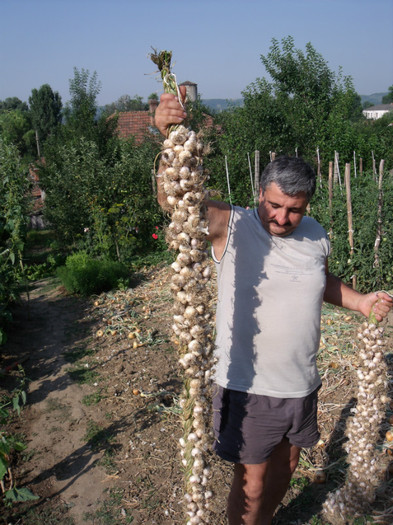Picture 277 - gradina 2012