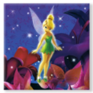 Tinker_Bell_1260975576_1_2008