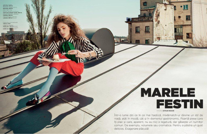 280629_231773376843522_3265006_o