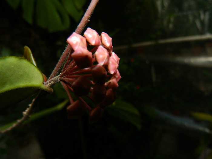 DSCN9403