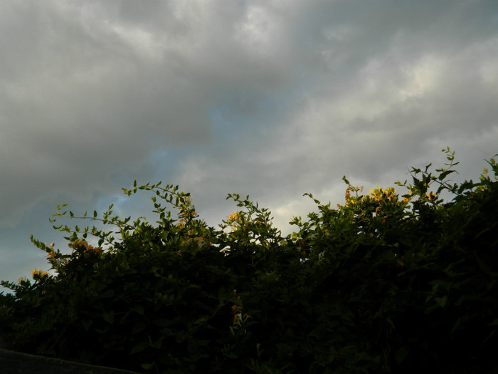 DSCN9405