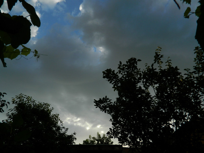 DSCN9424