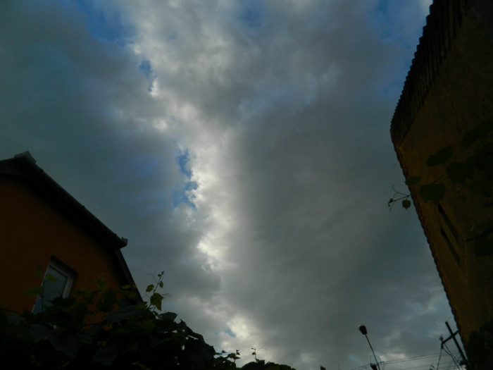 DSCN9429
