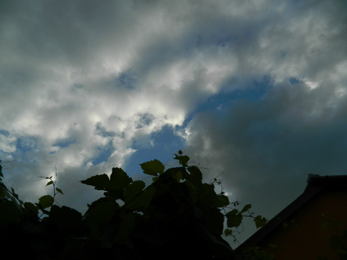 DSCN9430