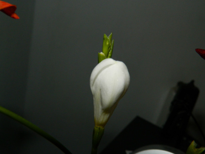 DSCN9551