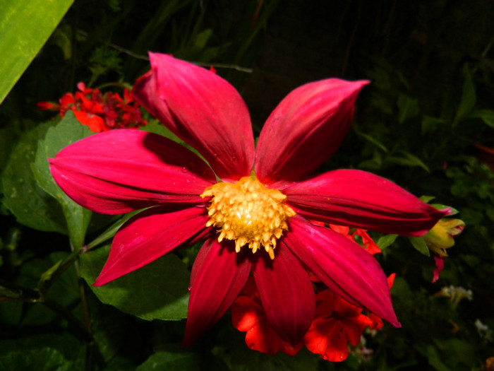 DSCN9690
