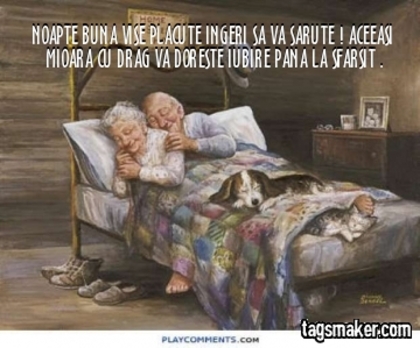 NOAPTE BUNA PRIETENI! TRIL