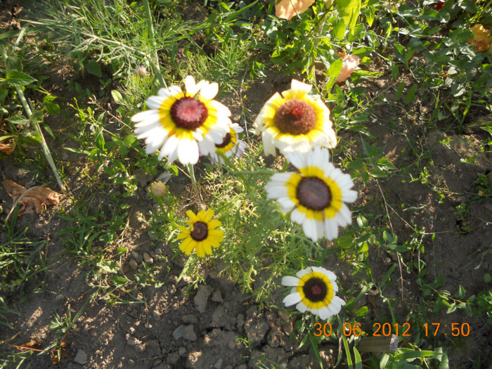 DSCN1560