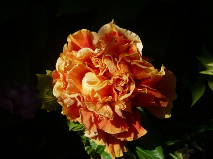 P1150310