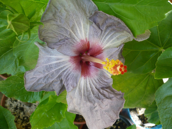 P1150320