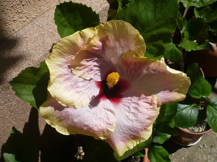 P1150322