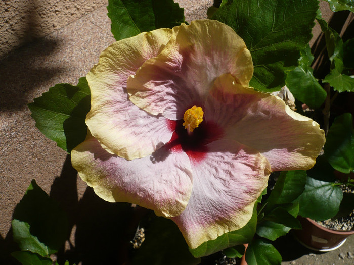 P1150324