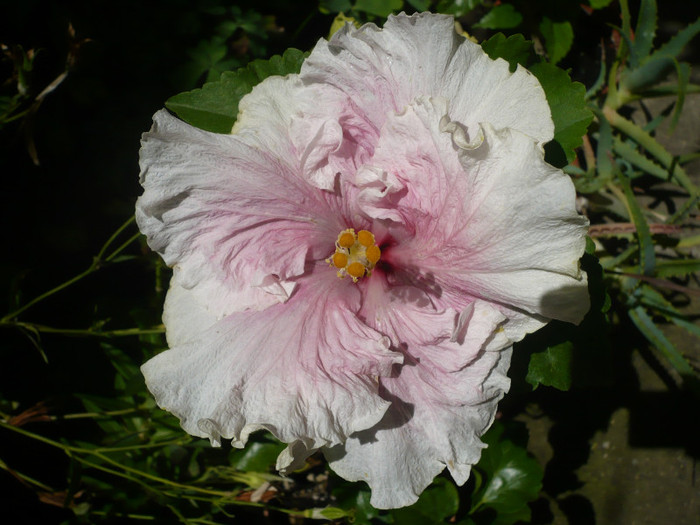 P1150325