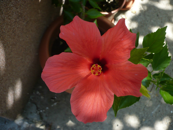 P1150330