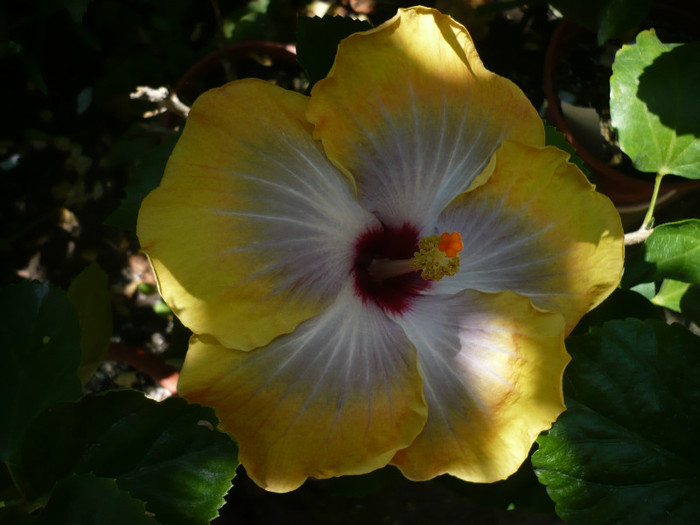P1150331