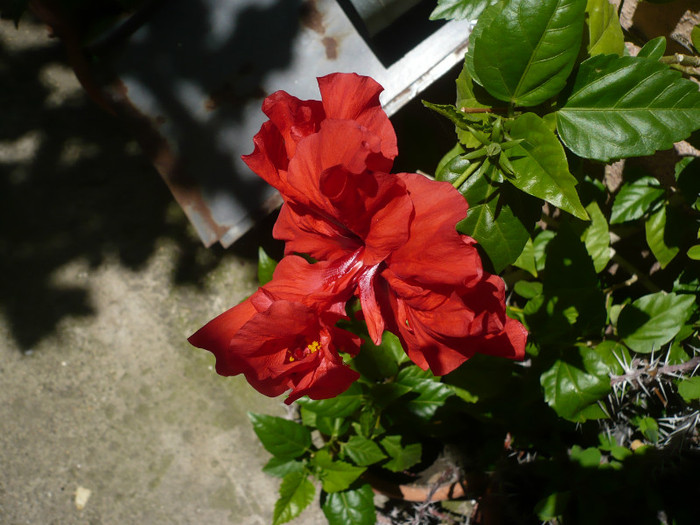 P1150332