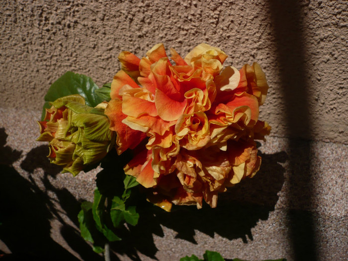 P1150336