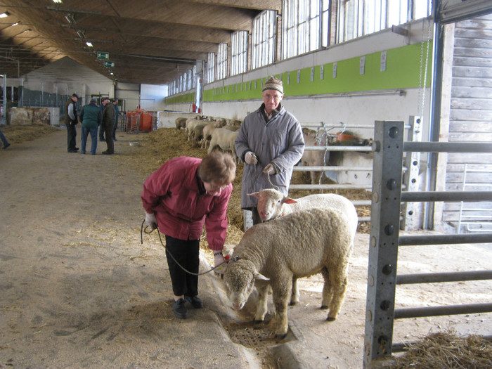 dlm.Wakolbinger la Wels - oi Ille de frence -Wakolbinger Josef