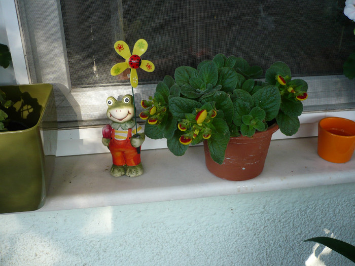 P1020232 - iulie 2012