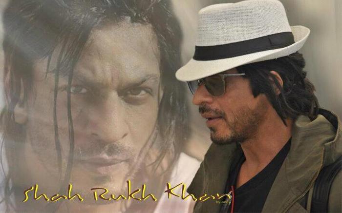 423958_204002553040388_1841341947_n - Shahrukh Khan 2
