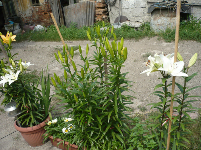 P1020247