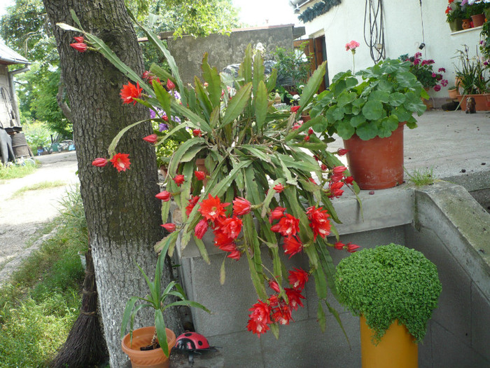 P1020248
