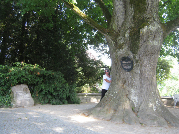 bodensee- 180 - bodense austria germania elvetia