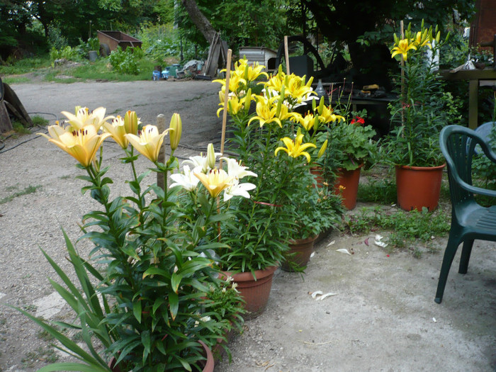 P1020322
