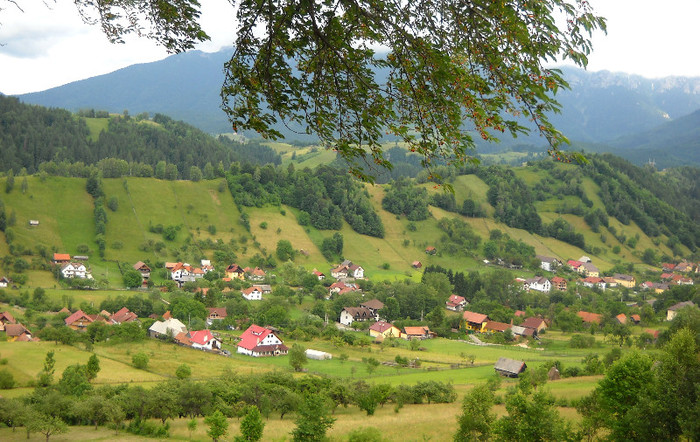 sat; valea simonului bran sat simon peisaj
