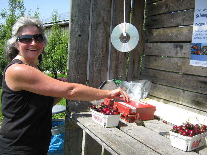 pui banii iei ciresele - bodense austria germania elvetia