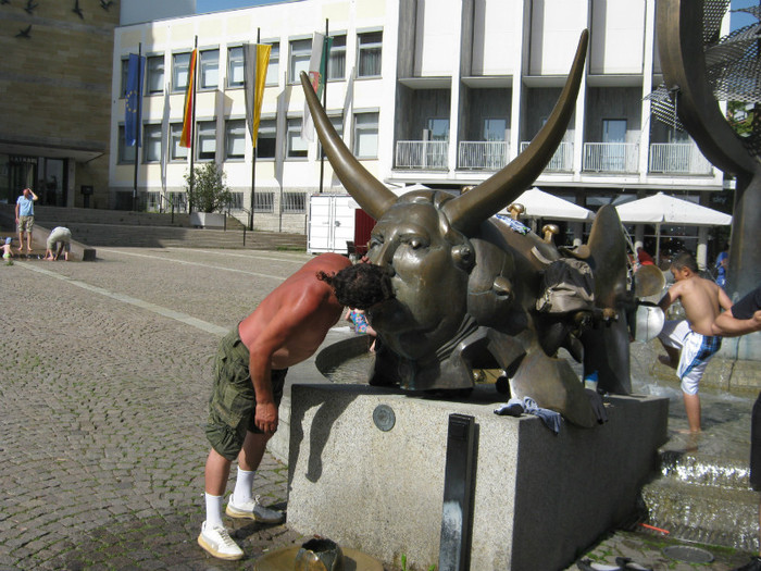 beau si putina apa din zepelin - bodense austria germania elvetia