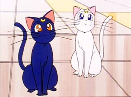 luna and artemis