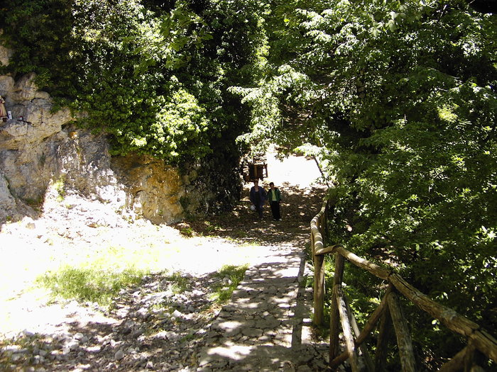 PIC05085