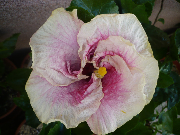 P1150339