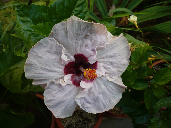 P1150375