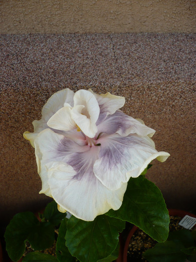 P1150357