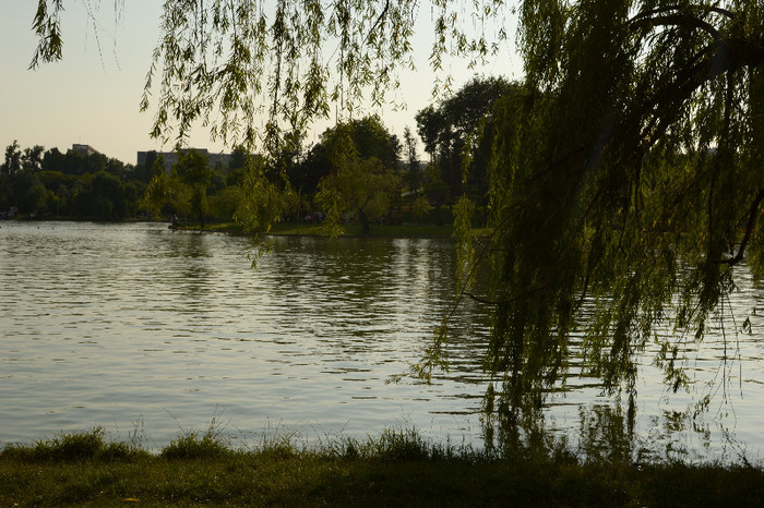 DSC_0080 - 2 ani