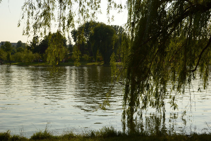 DSC_0081 - 2 ani