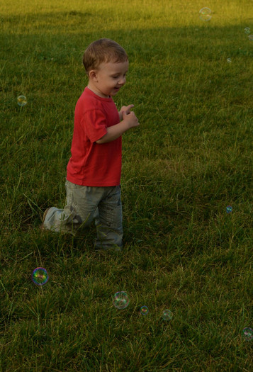 DSC_0589 - 2 ani