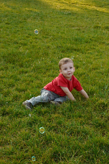 DSC_0656 - 2 ani
