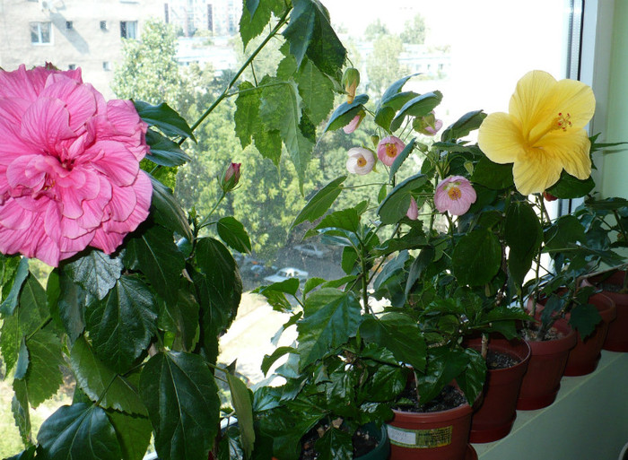 P1400325