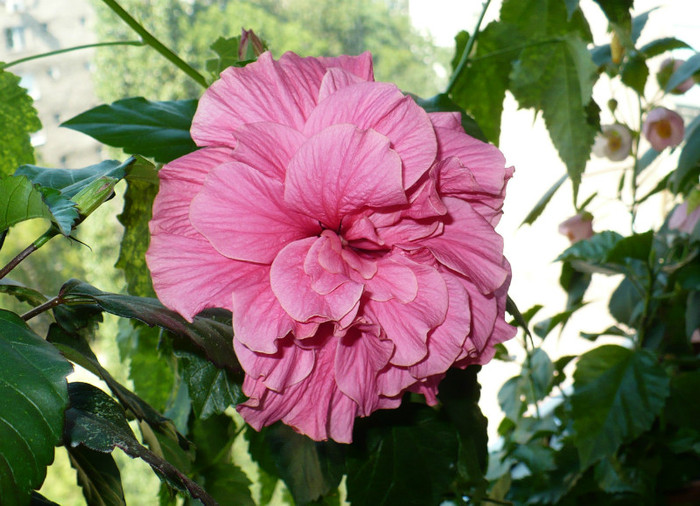 P1400327
