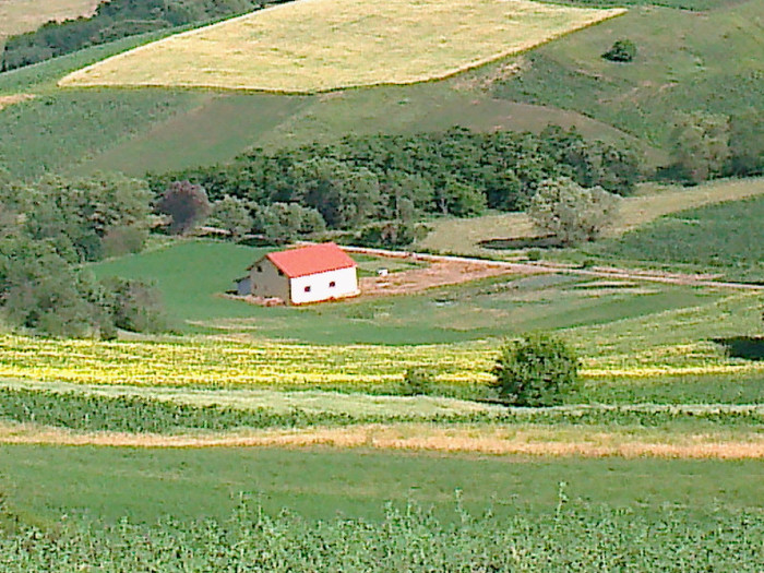 Fotografie0858 - Va invitam cu  drag  GRATUIT la STATIUNEA REUMATOLOGICA de  la TURDA