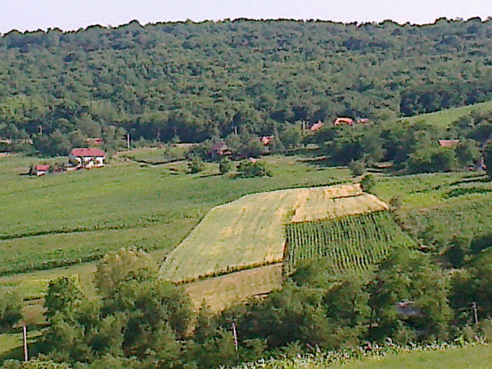 Fotografie0860 - Va invitam cu  drag  GRATUIT la STATIUNEA REUMATOLOGICA de  la TURDA