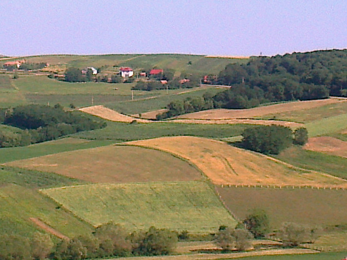 Fotografie0861 - Va invitam cu  drag  GRATUIT la STATIUNEA REUMATOLOGICA de  la TURDA