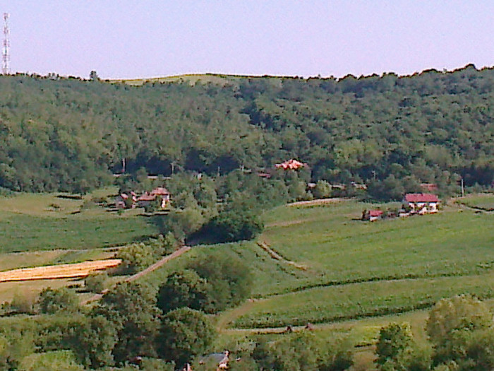 Fotografie0863 - Va invitam cu  drag  GRATUIT la STATIUNEA REUMATOLOGICA de  la TURDA