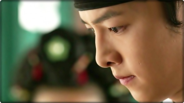  - 8x - Deep Rooted Tree - x8